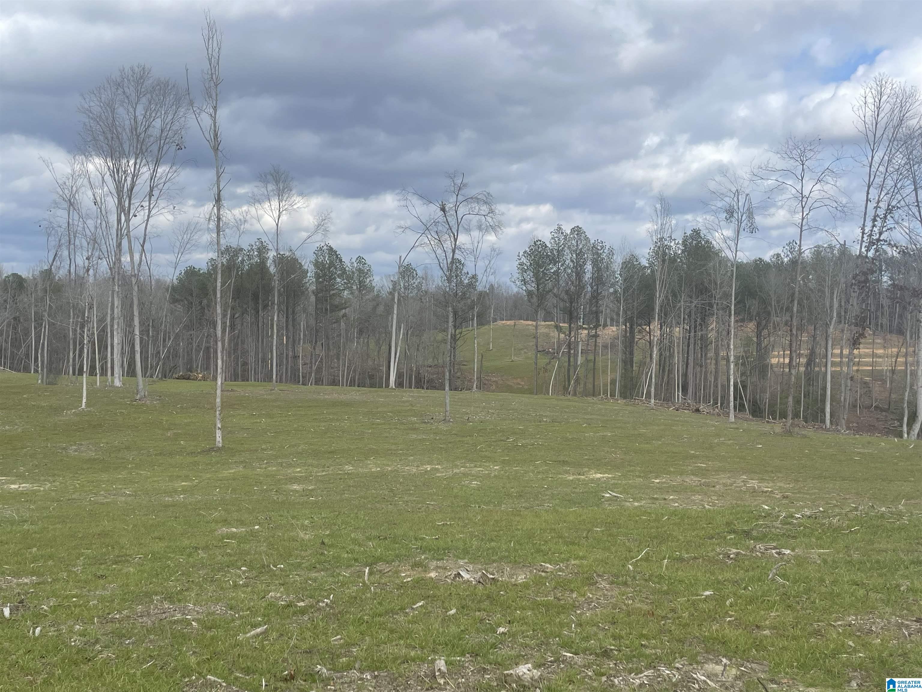 003 TRUMAN ALDRICH PARKWAY 14