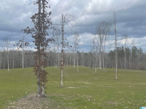 003 TRUMAN ALDRICH PARKWAY 14 WEST BLOCTON AL 35184