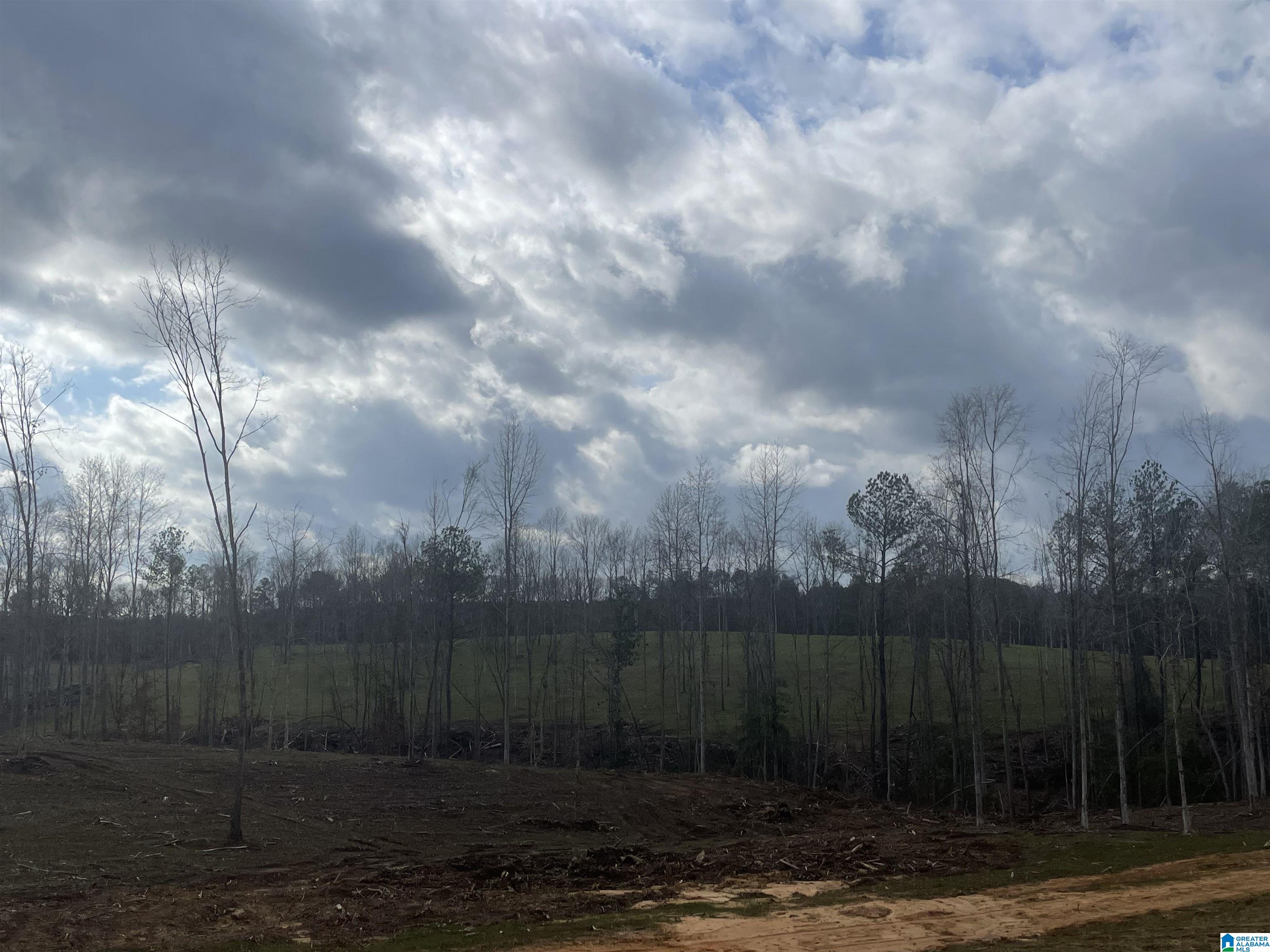 003 TRUMAN ALDRICH PARKWAY 14