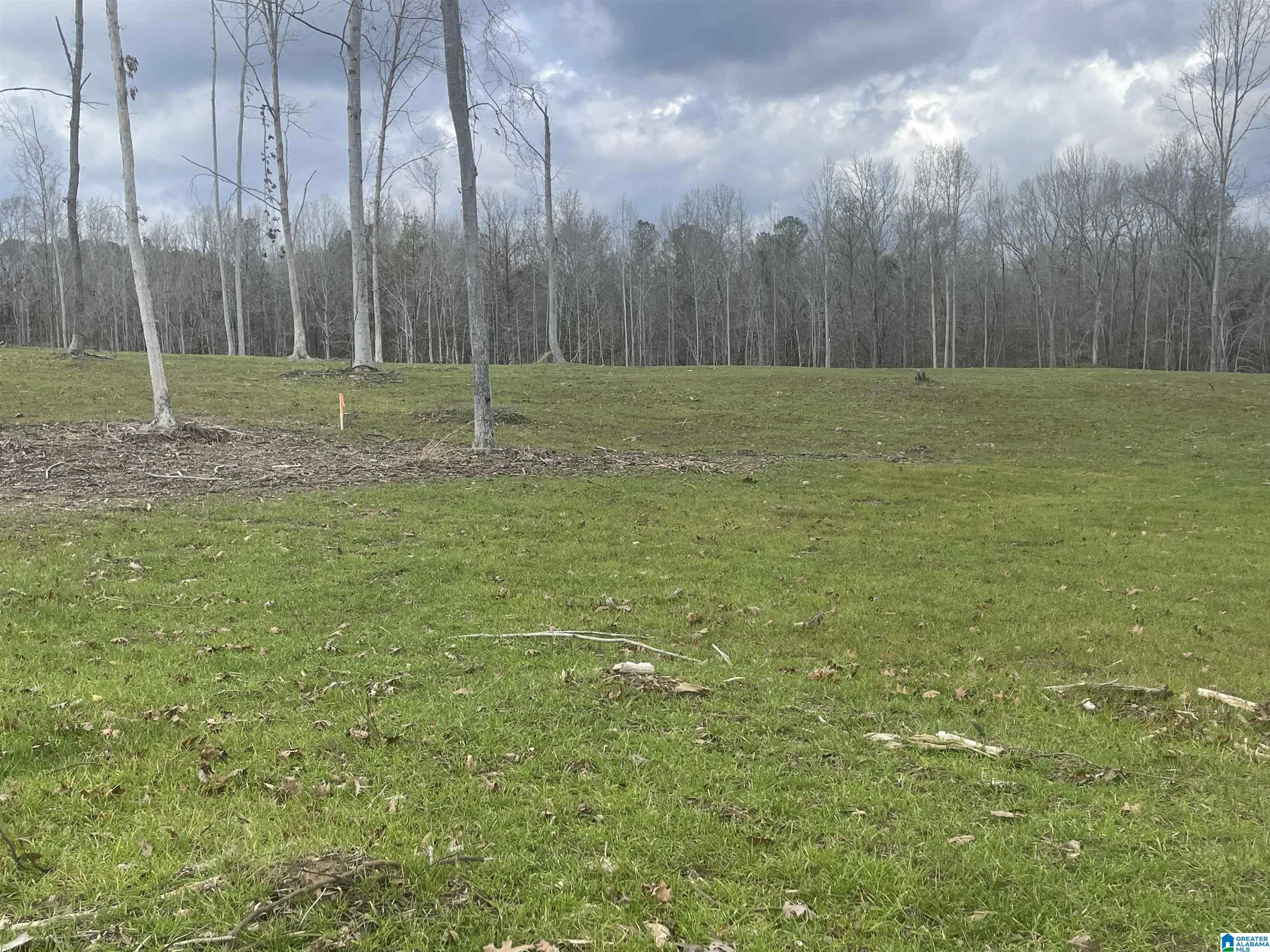 003 TRUMAN ALDRICH PARKWAY 14