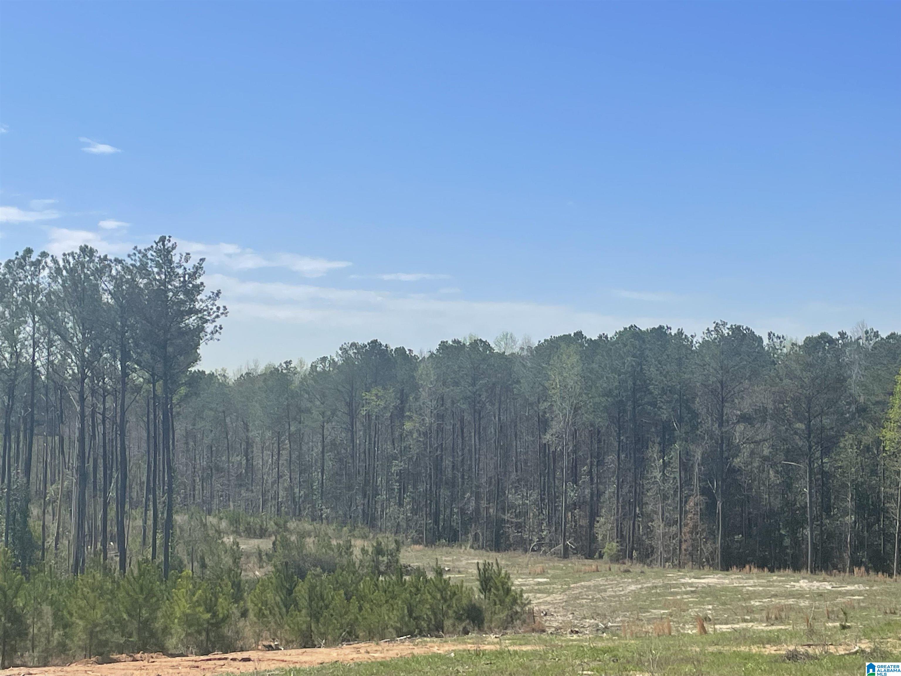 003 TRUMAN ALDRICH PARKWAY 14