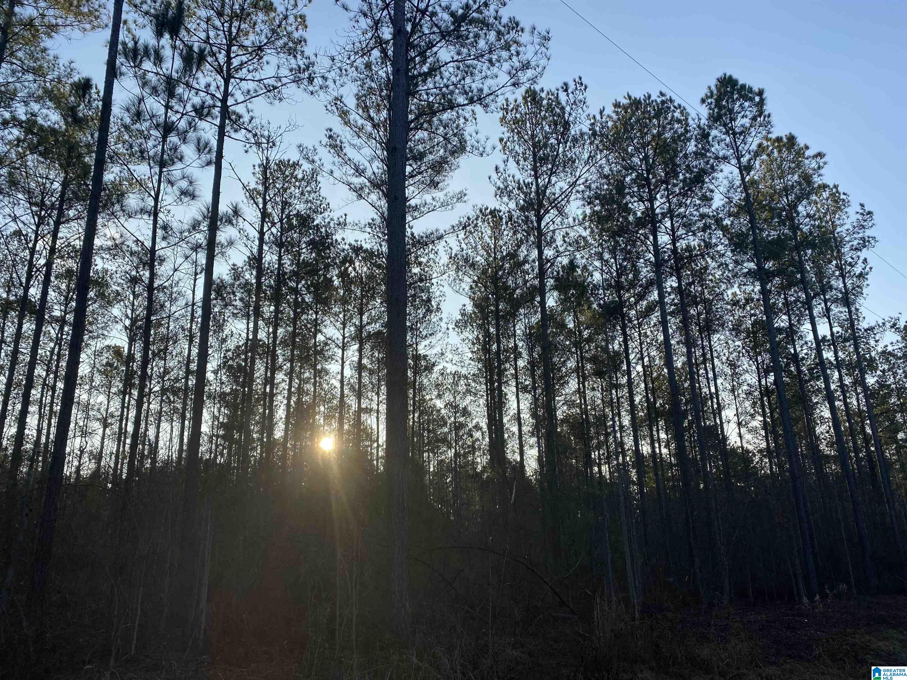 COUNTY ROAD 97 1806140000001000 and 1801110000008000