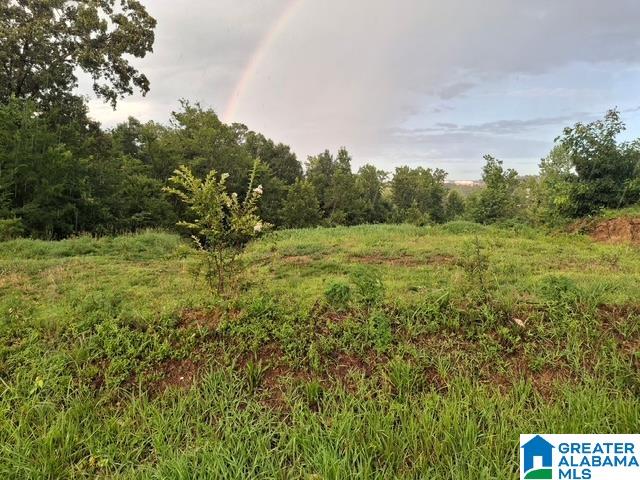Photo 1 of 6 — 3061 TERESA DRIVE 296, FULTONDALE, AL 35217