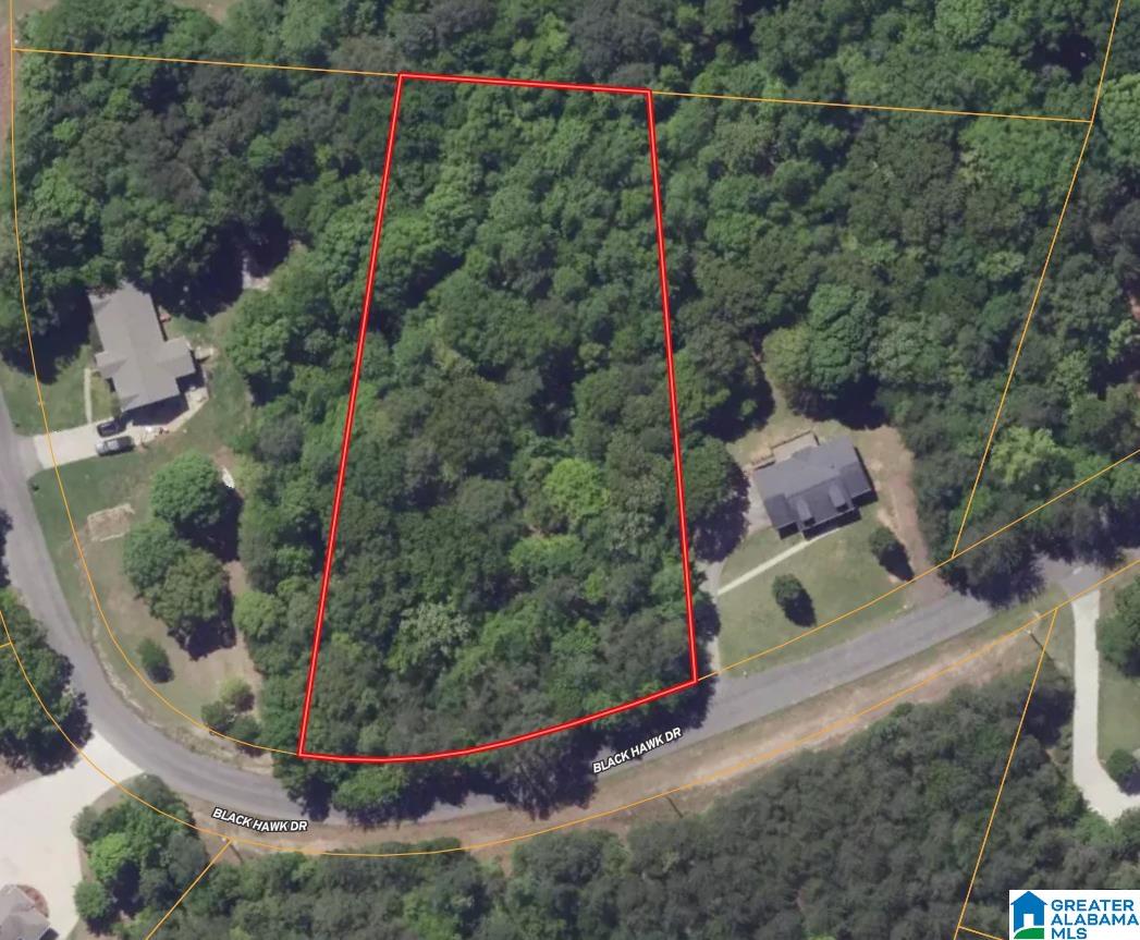 Photo 1 of 9 — 3874 BLACK HAWK DRIVE 2, BESSEMER, AL 35022