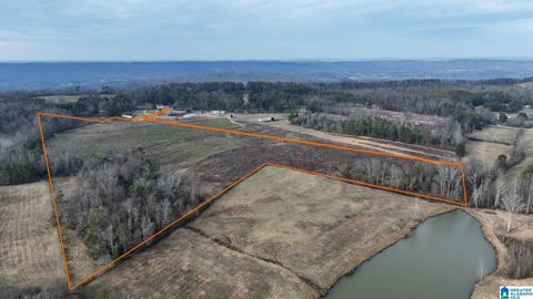0 COUNTY ROAD 42 26.52+/- Acres STEELE AL 35987