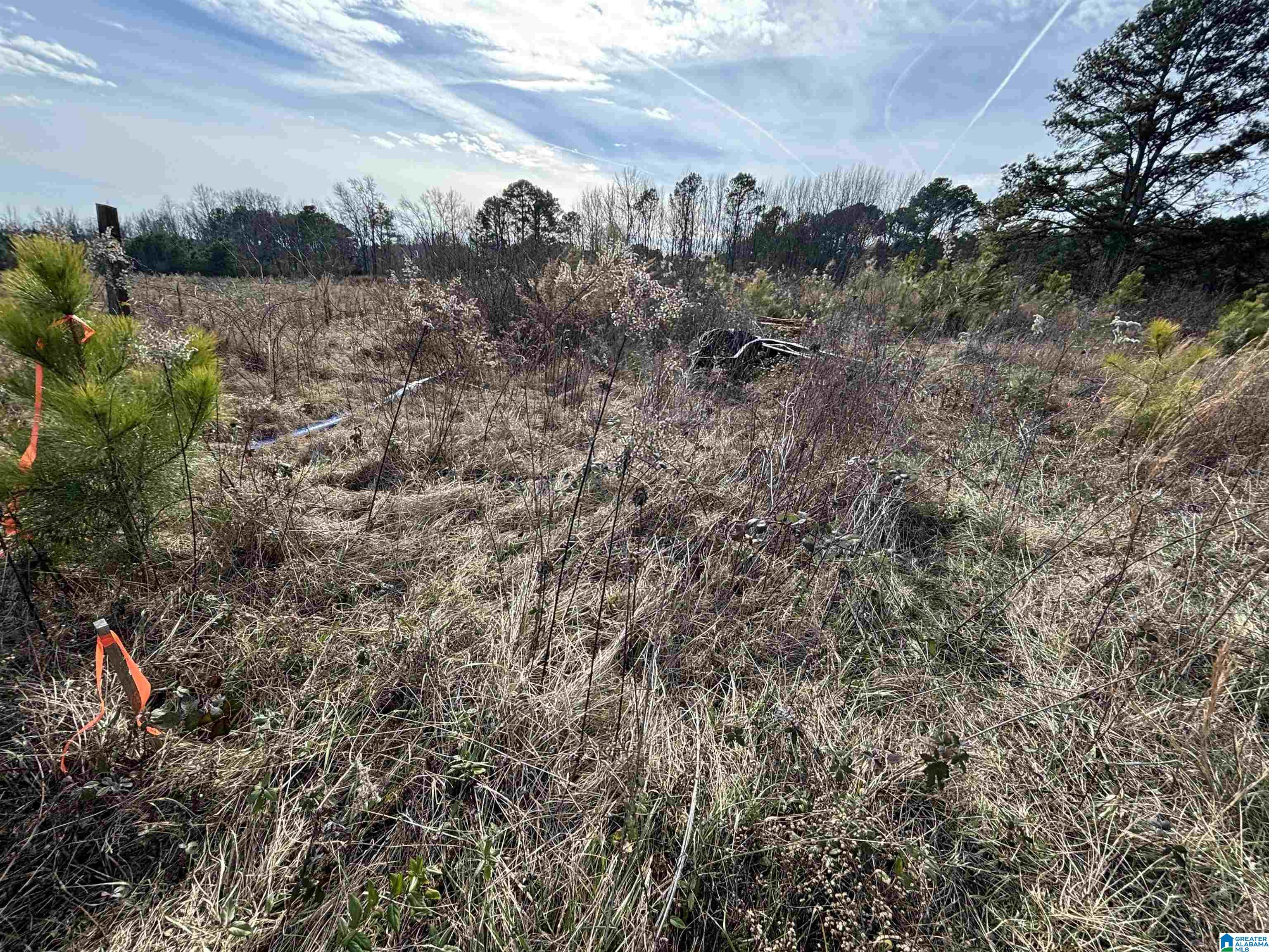 0 COUNTY ROAD 42 26.52+/- Acres
