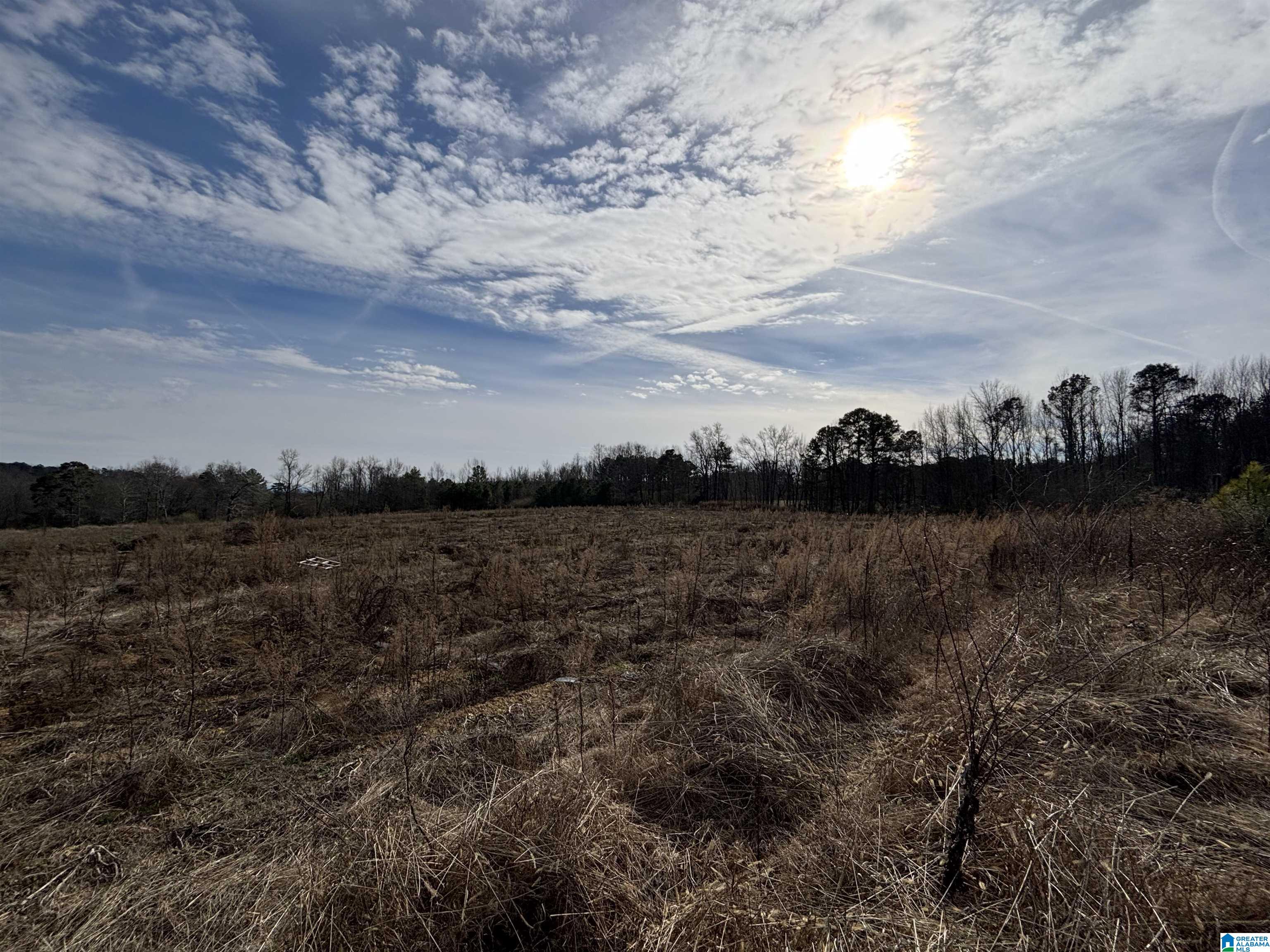 0 COUNTY ROAD 42 26.52+/- Acres