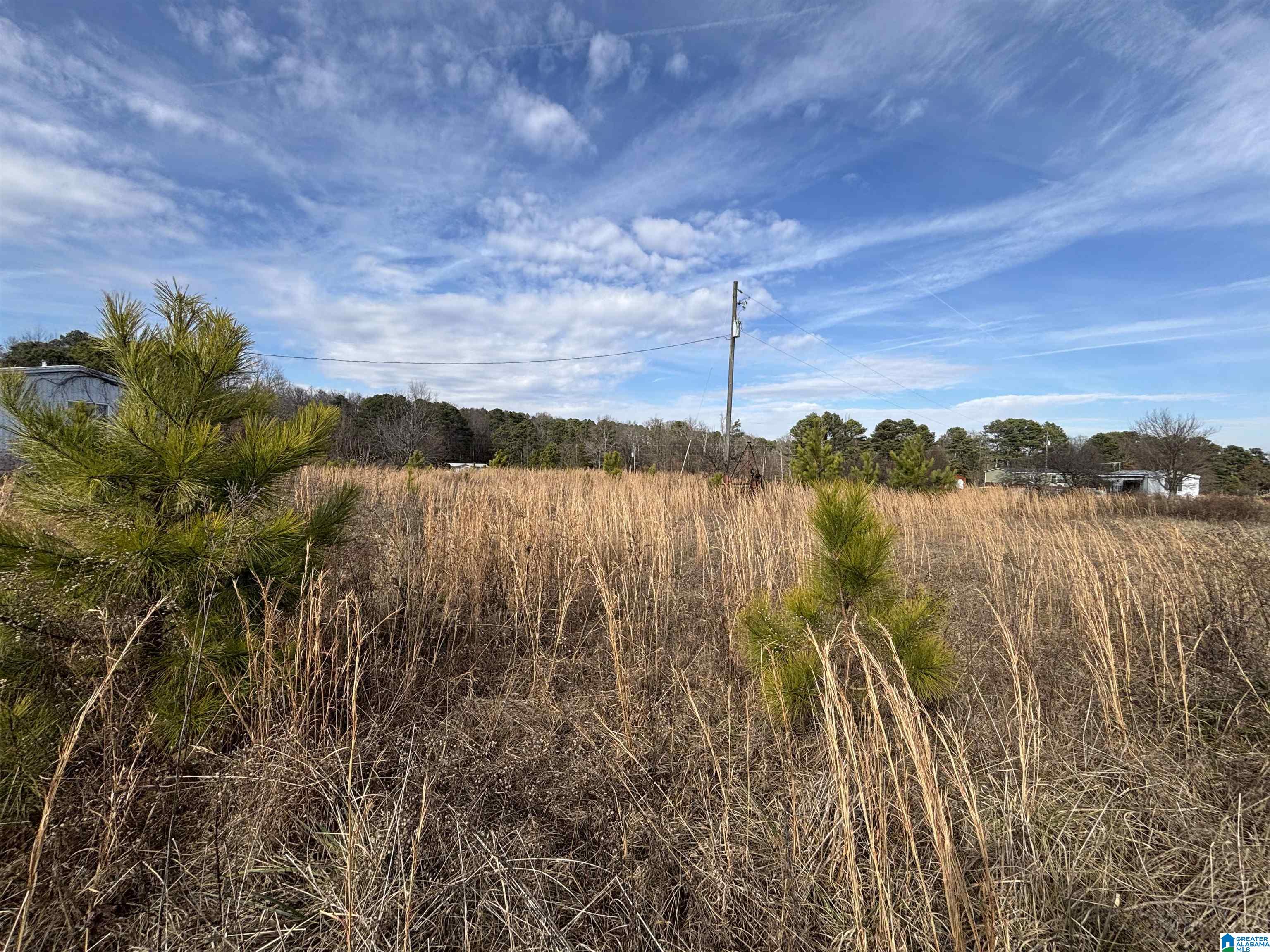 0 COUNTY ROAD 42 26.52+/- Acres