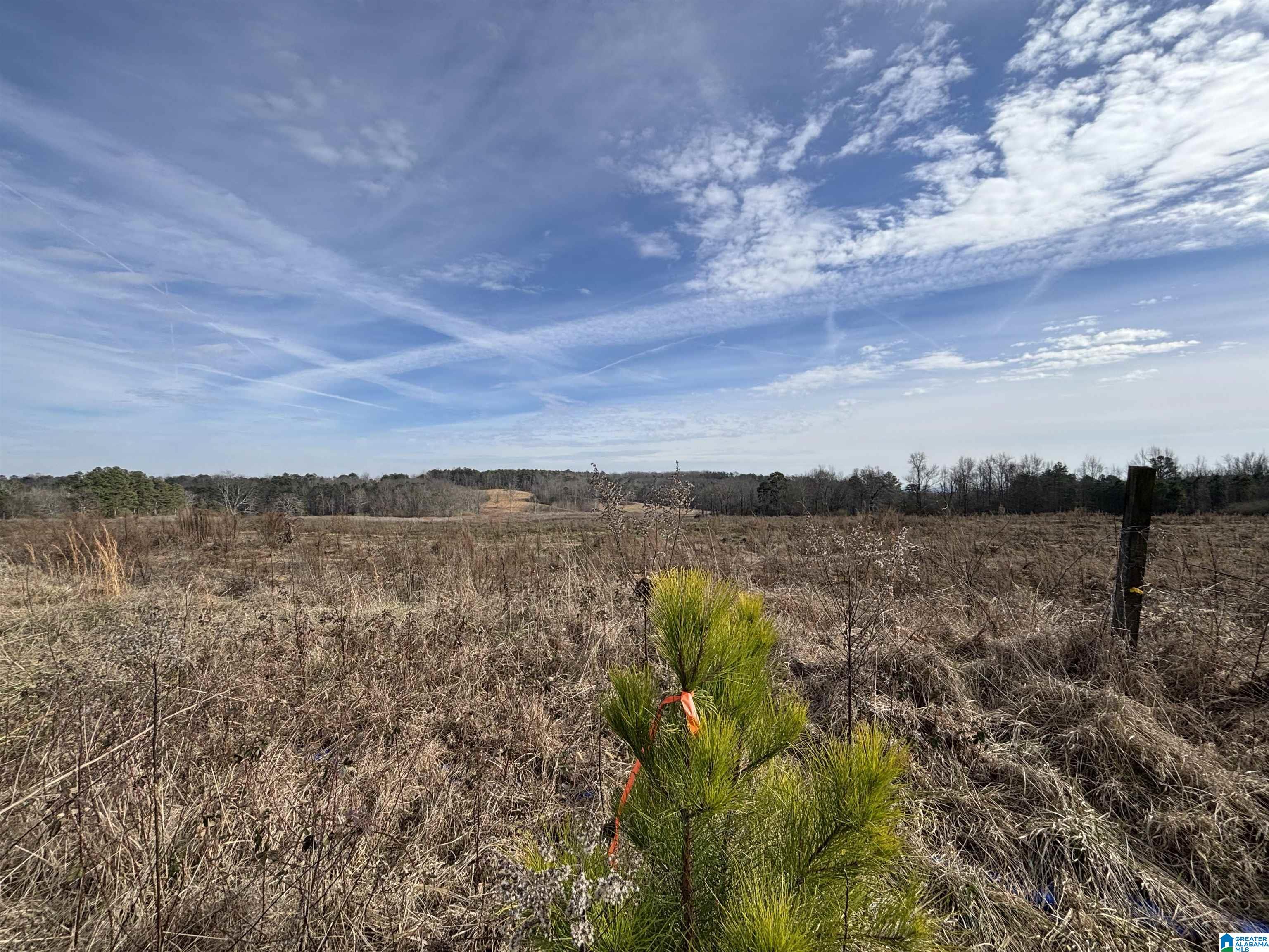 0 COUNTY ROAD 42 26.52+/- Acres