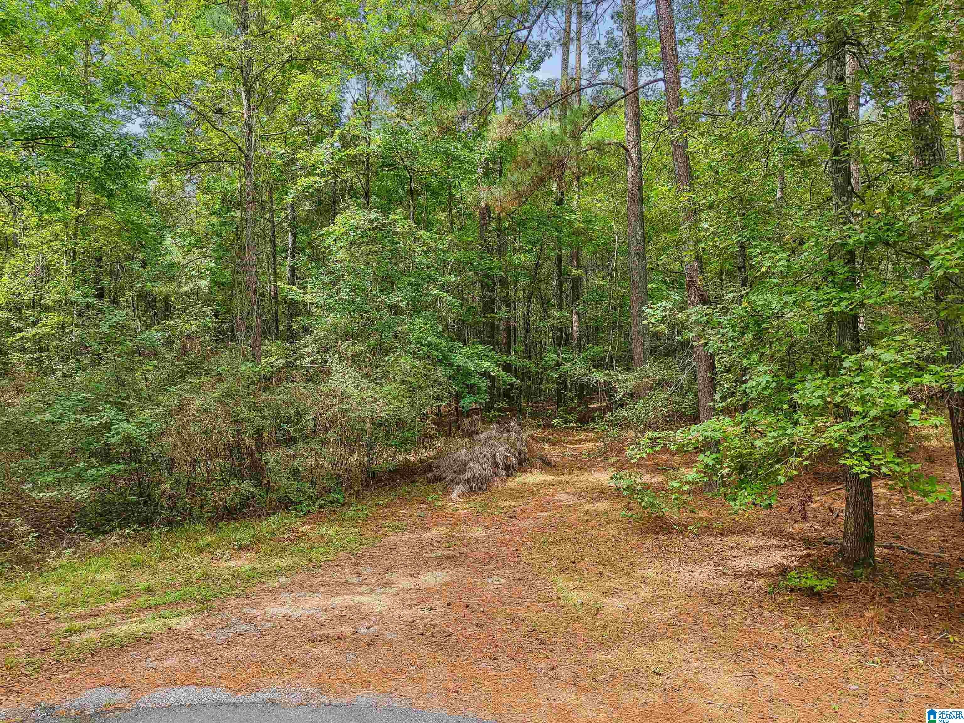 0 HOWARD HILL DRIVE 1