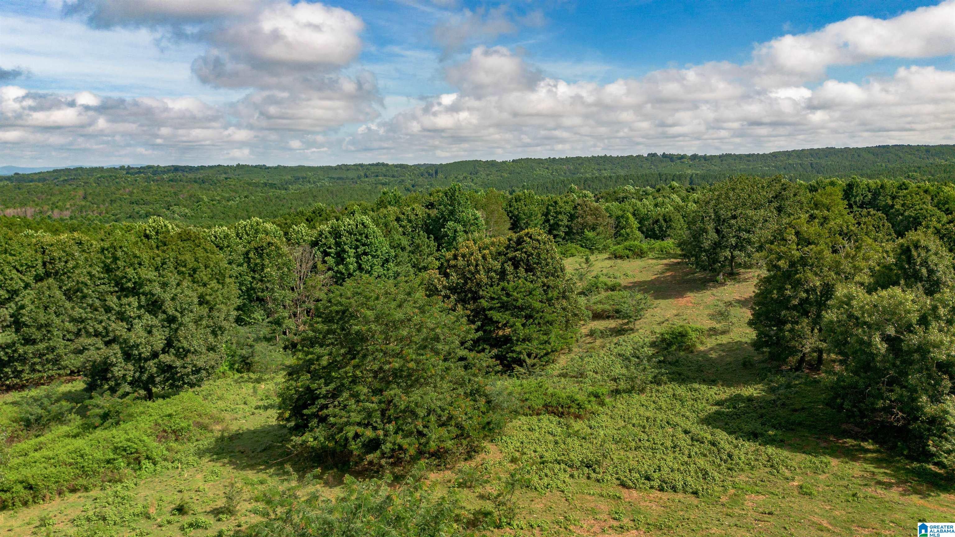 5967 COUNTY ROAD 19 2