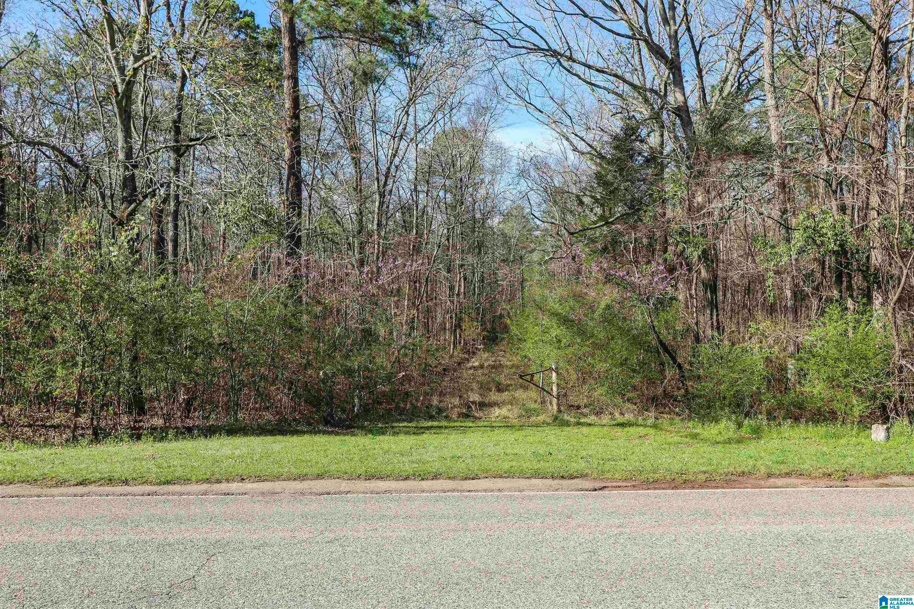 701 CHOCCOLOCCO ROAD 28 ac.