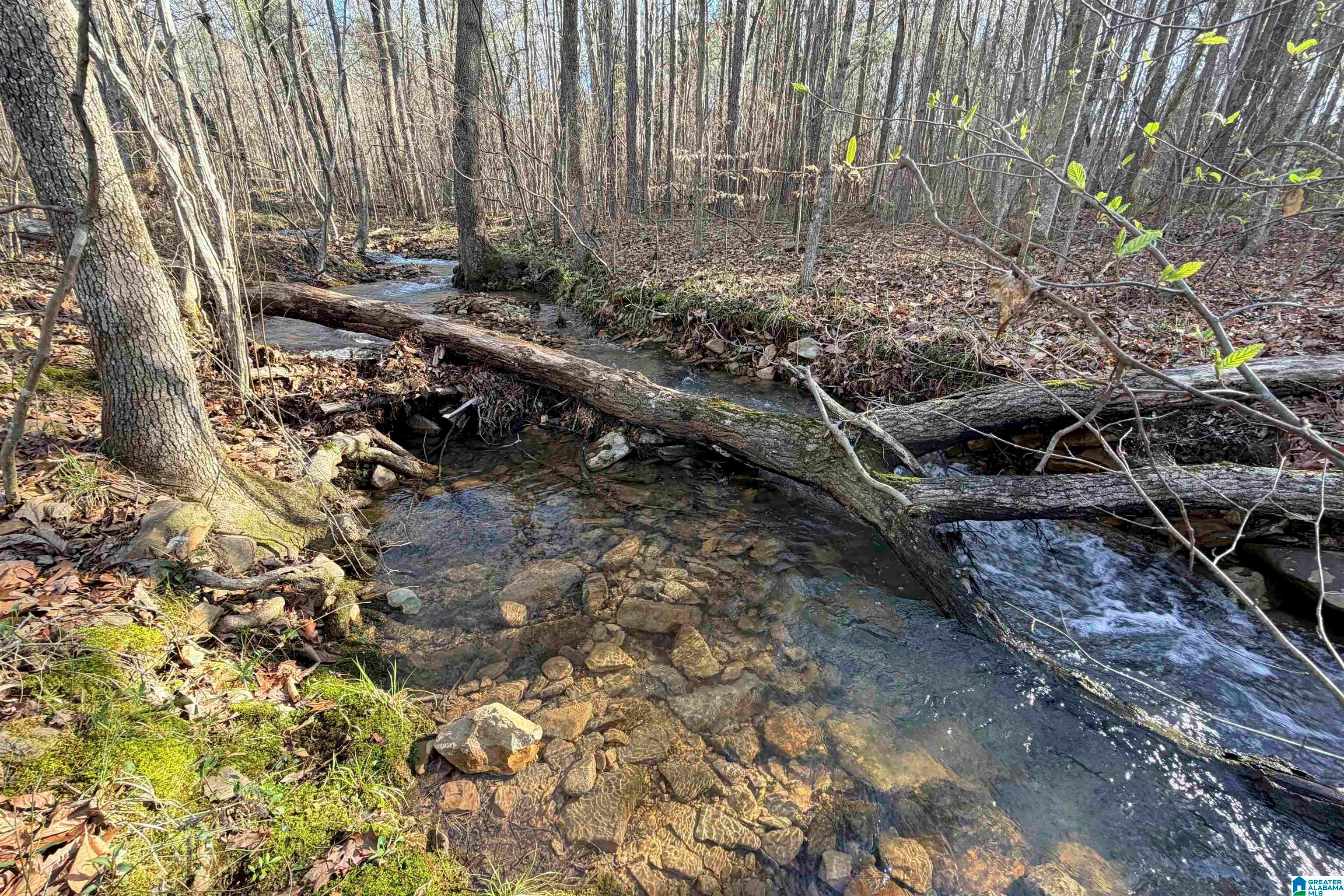 701 CHOCCOLOCCO ROAD 28 ac.