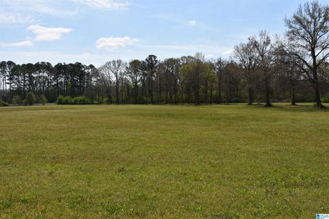 2323 MOTES ROAD 0 SYLACAUGA AL 35150