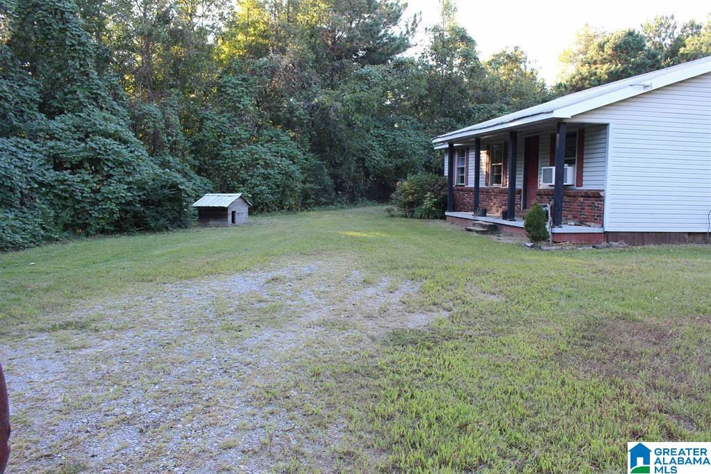 111 COUNTY ROAD 1202