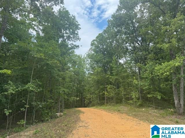 245 BROWNS VALLEY ROAD 0