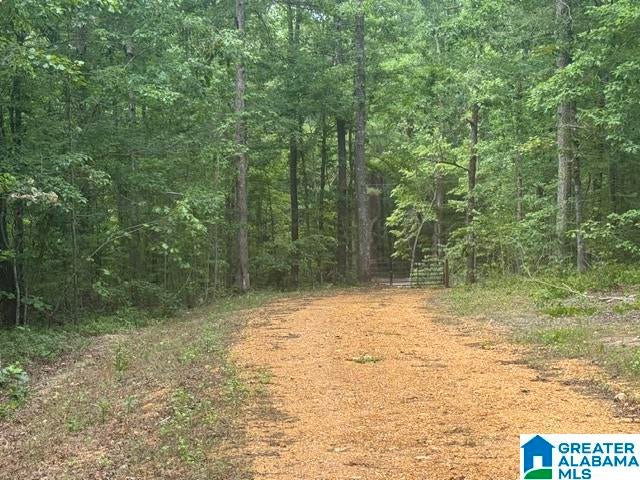 245 BROWNS VALLEY ROAD 0