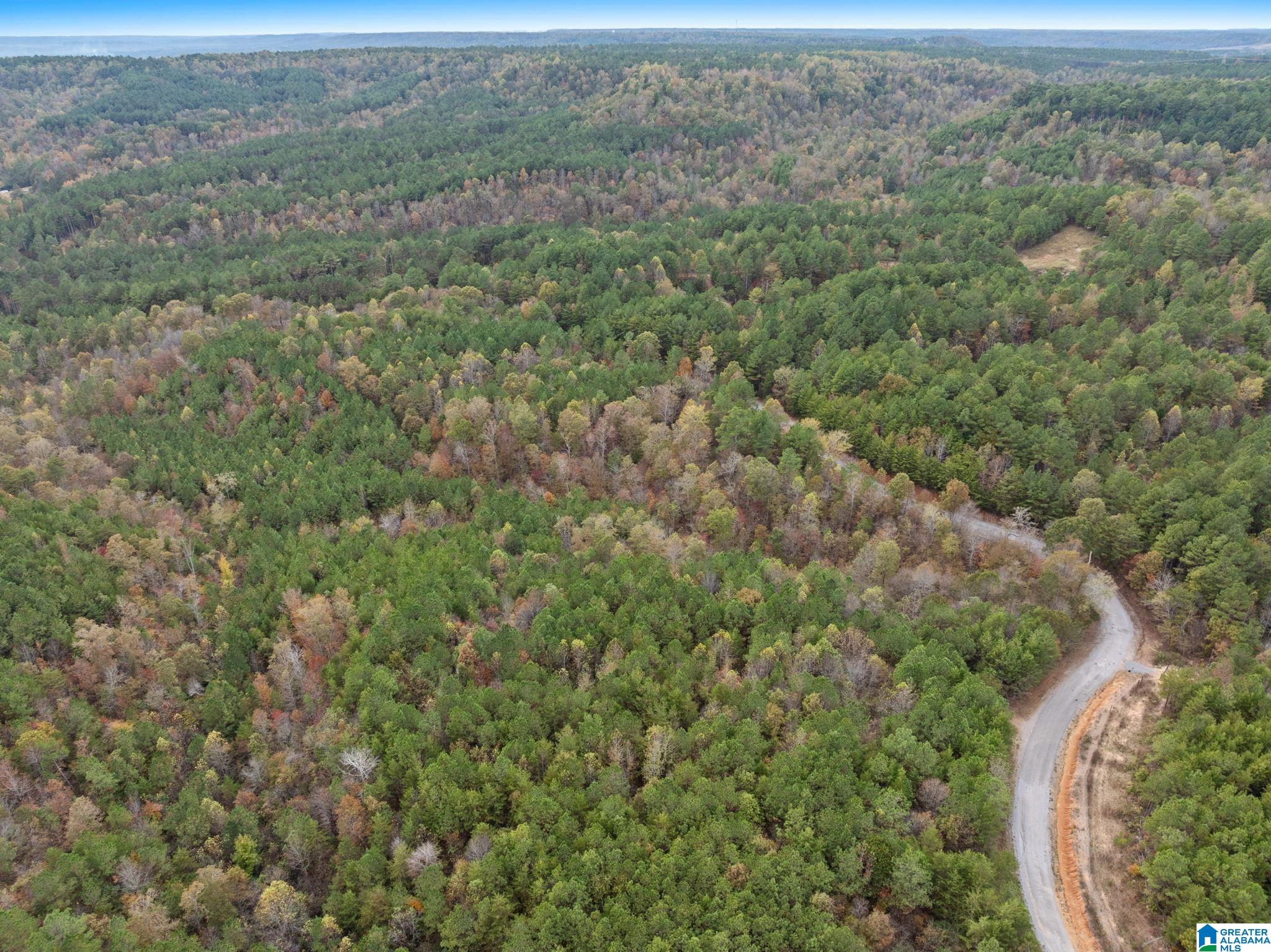 0 COUNTY ROAD 518 37.16 acres