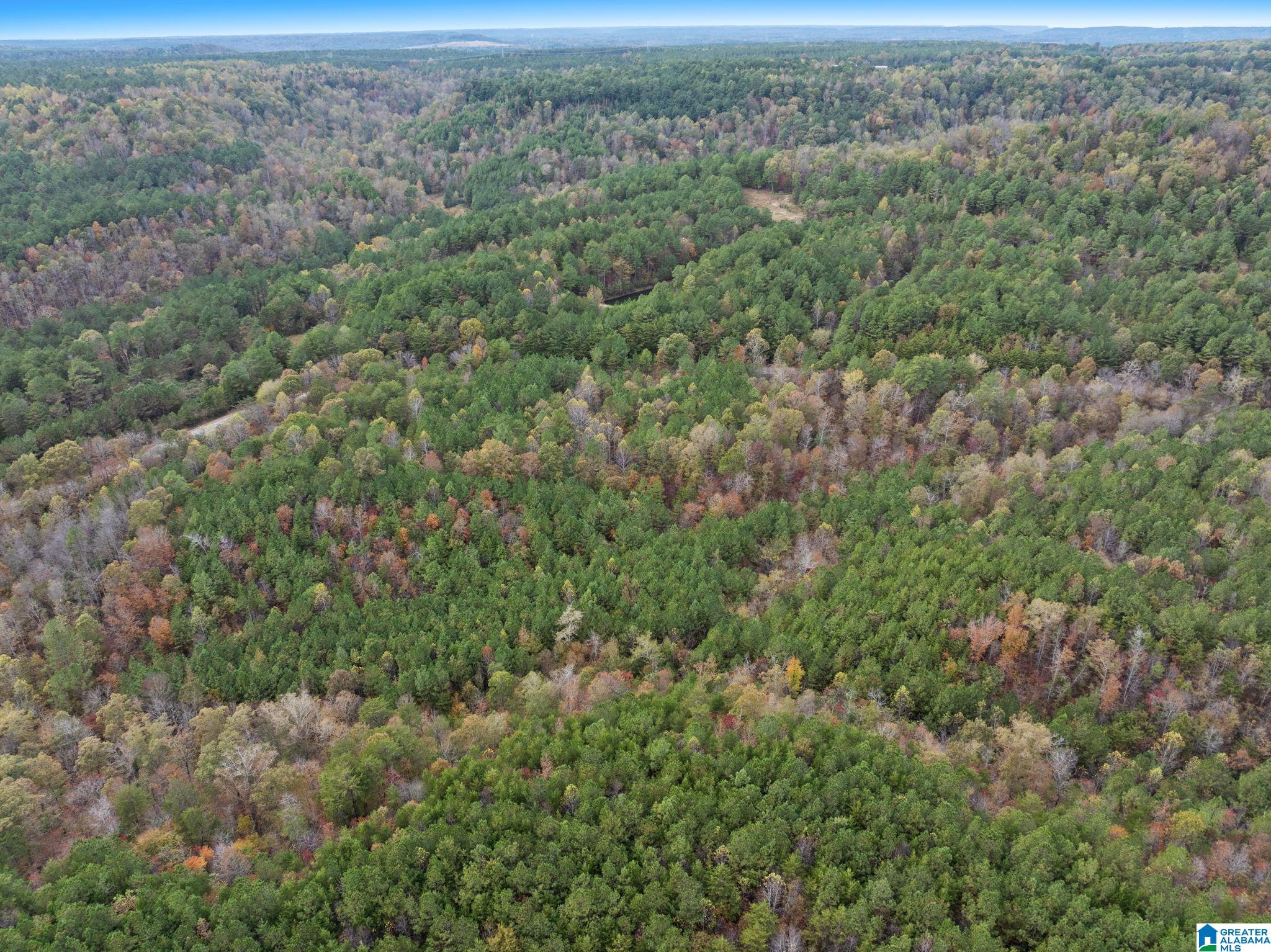 0 COUNTY ROAD 518 37.16 acres