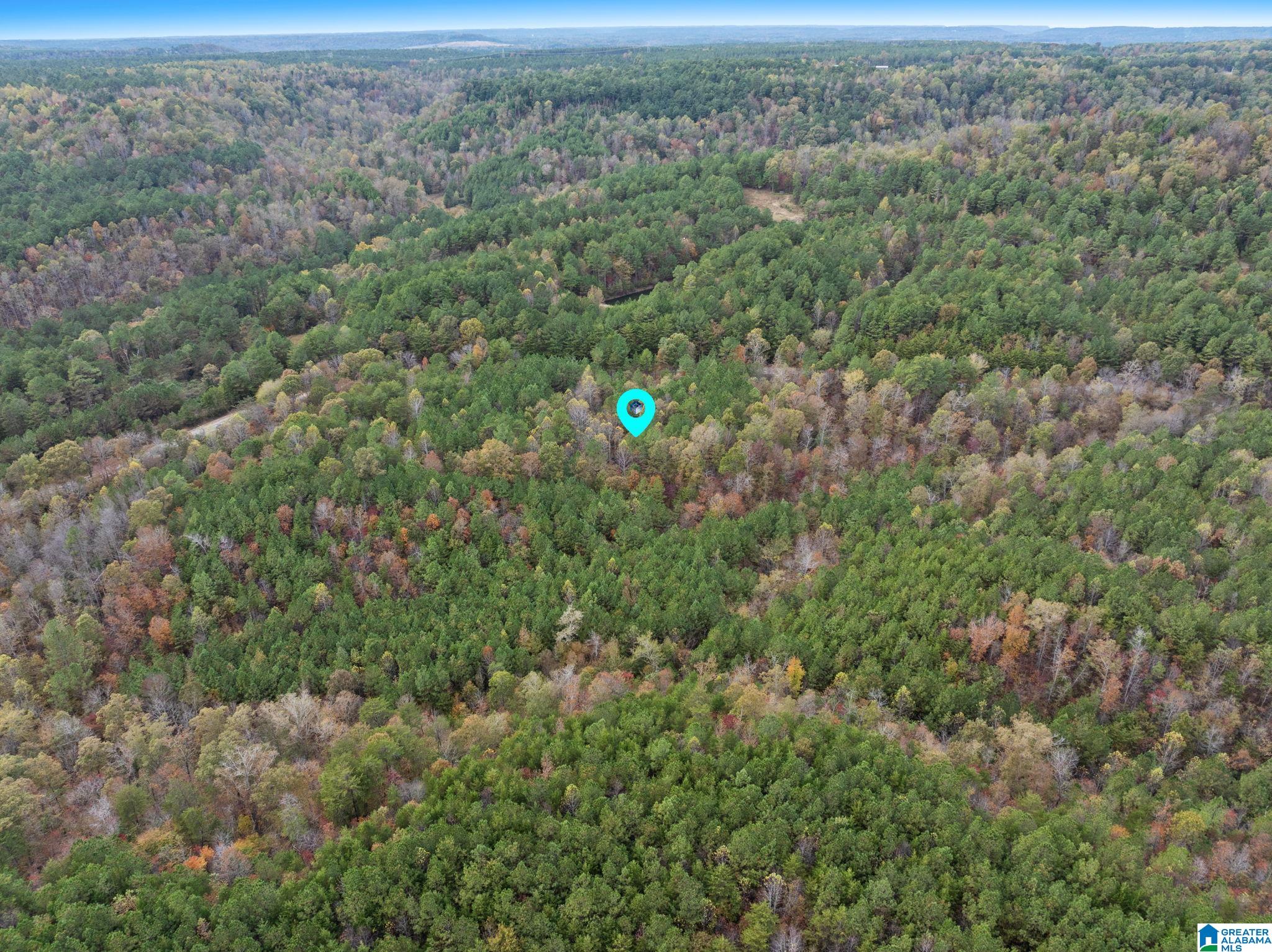 0 COUNTY ROAD 518 37.16 acres