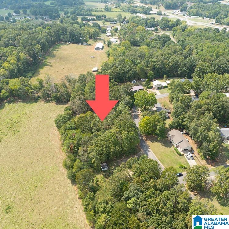 332 SHADECREST DRIVE 17