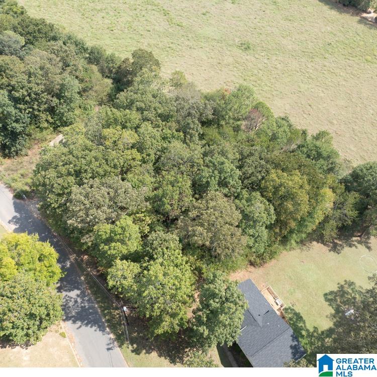 332 SHADECREST DRIVE 17
