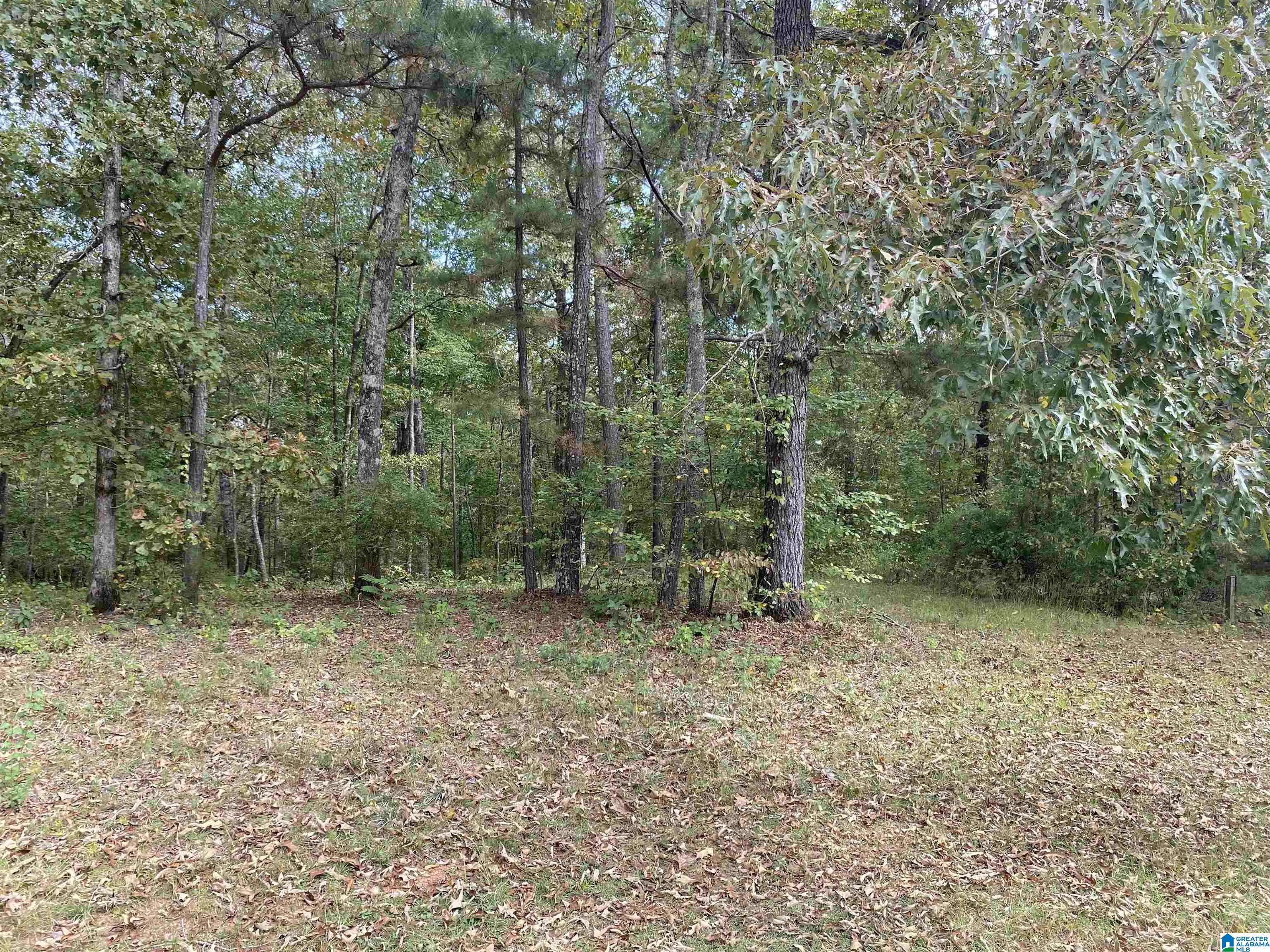 Lot 6 PINEYWOODS DRIVE Lot # 6