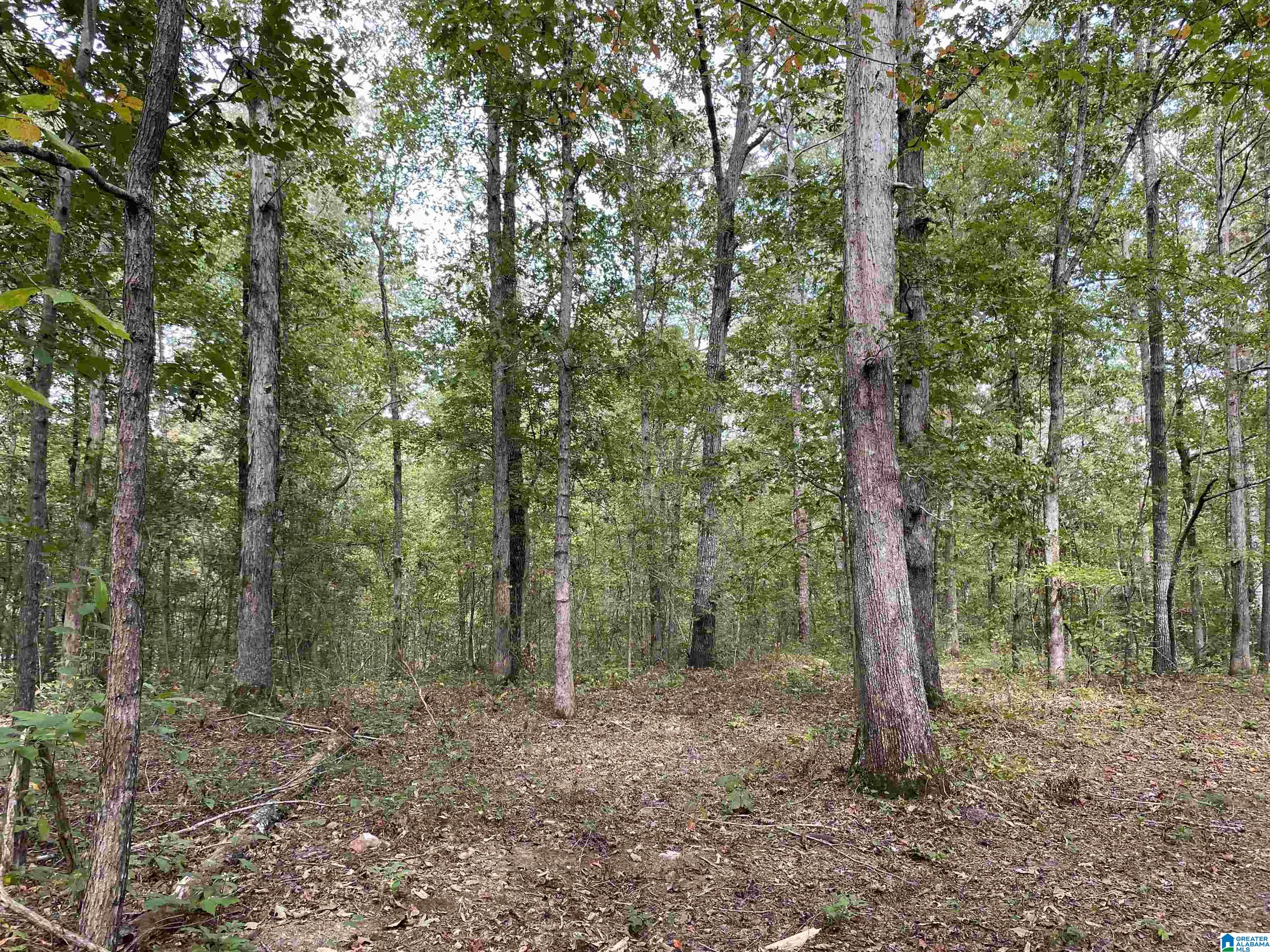 Lot 6 PINEYWOODS DRIVE Lot # 6