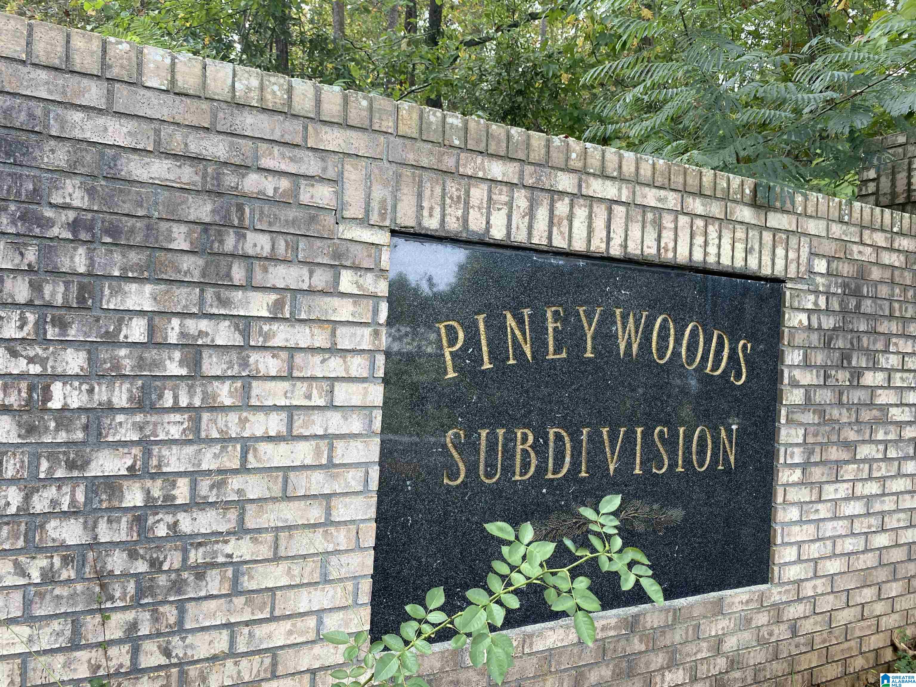 Lot 6 PINEYWOODS DRIVE Lot # 6