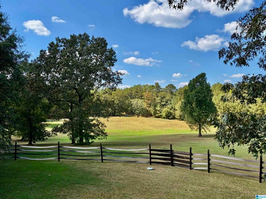 3090 HIGHWAY 51, WILSONVILLE, AL 35186 - Image eca251fd3685a8e375fd90348e5865d6/3597647352