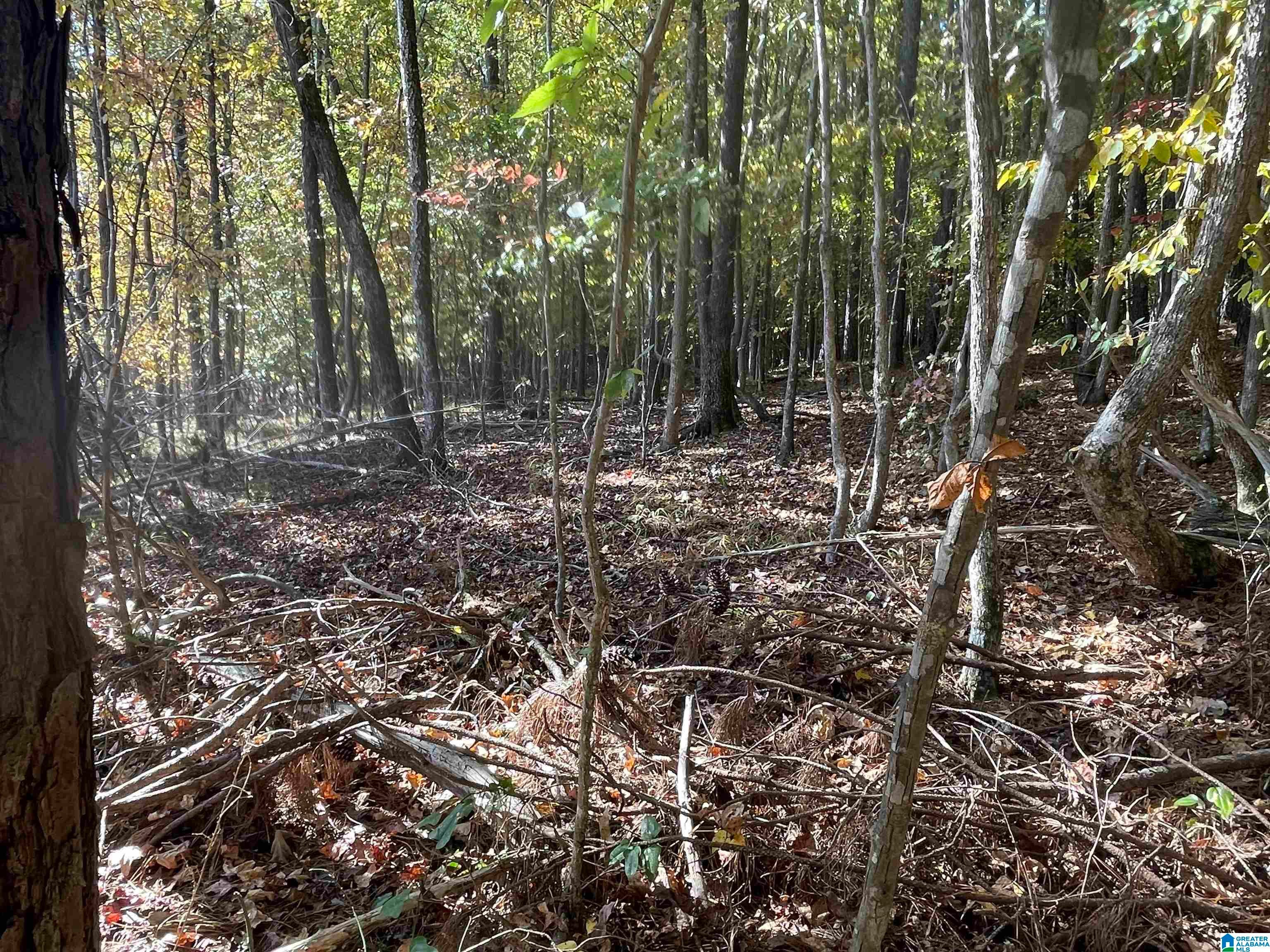 Lot #3 HIGHWAY 75 1