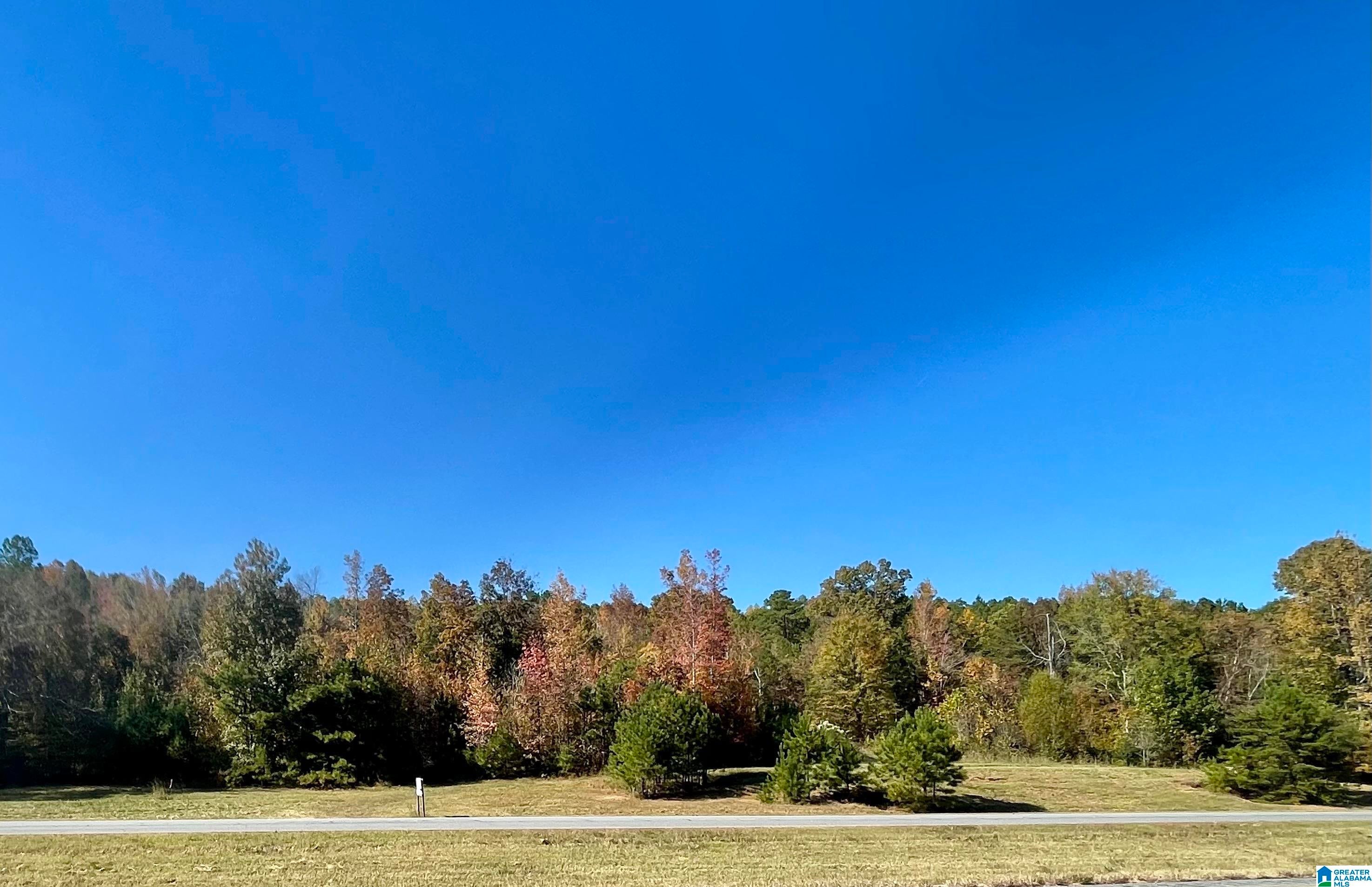 Lot #3 HIGHWAY 75 1