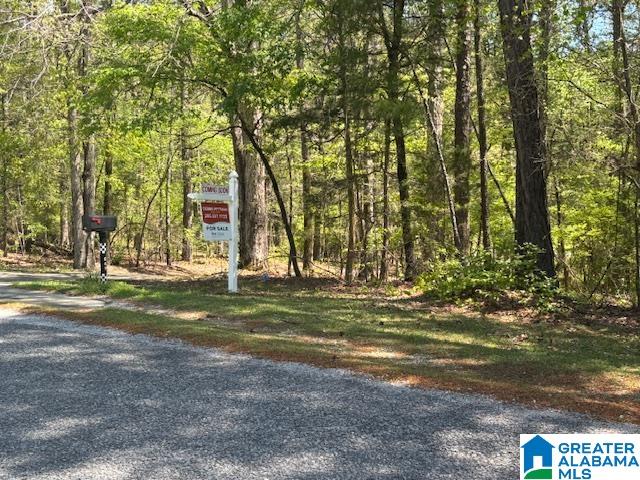 849 CORNELIA ROAD
