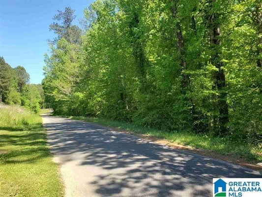 4360 JIM TATE RD # N, DORA, AL 35062 - Image eccf7e4e8d2d78a1b07ba5bcebe01a4c/2949466914