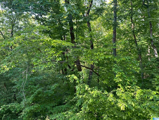 ADDRESS PRIVATE, ALPINE, AL 35014 - Image ecd7c6252da69af4e91fc05dd4e1d186/2906842741