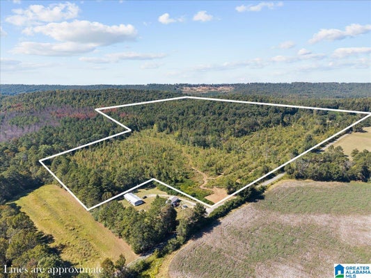0 DOUGLAS LANE # 146, ONEONTA, AL 35121 - Image ece7d649657da037c003b7e3f55e94cf/125055351