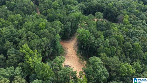 90 COUNTY RD 478, LEEDS, AL 35094 - Image ed33756d282eb2c68c4b2330cd1fbf3f/3157160941