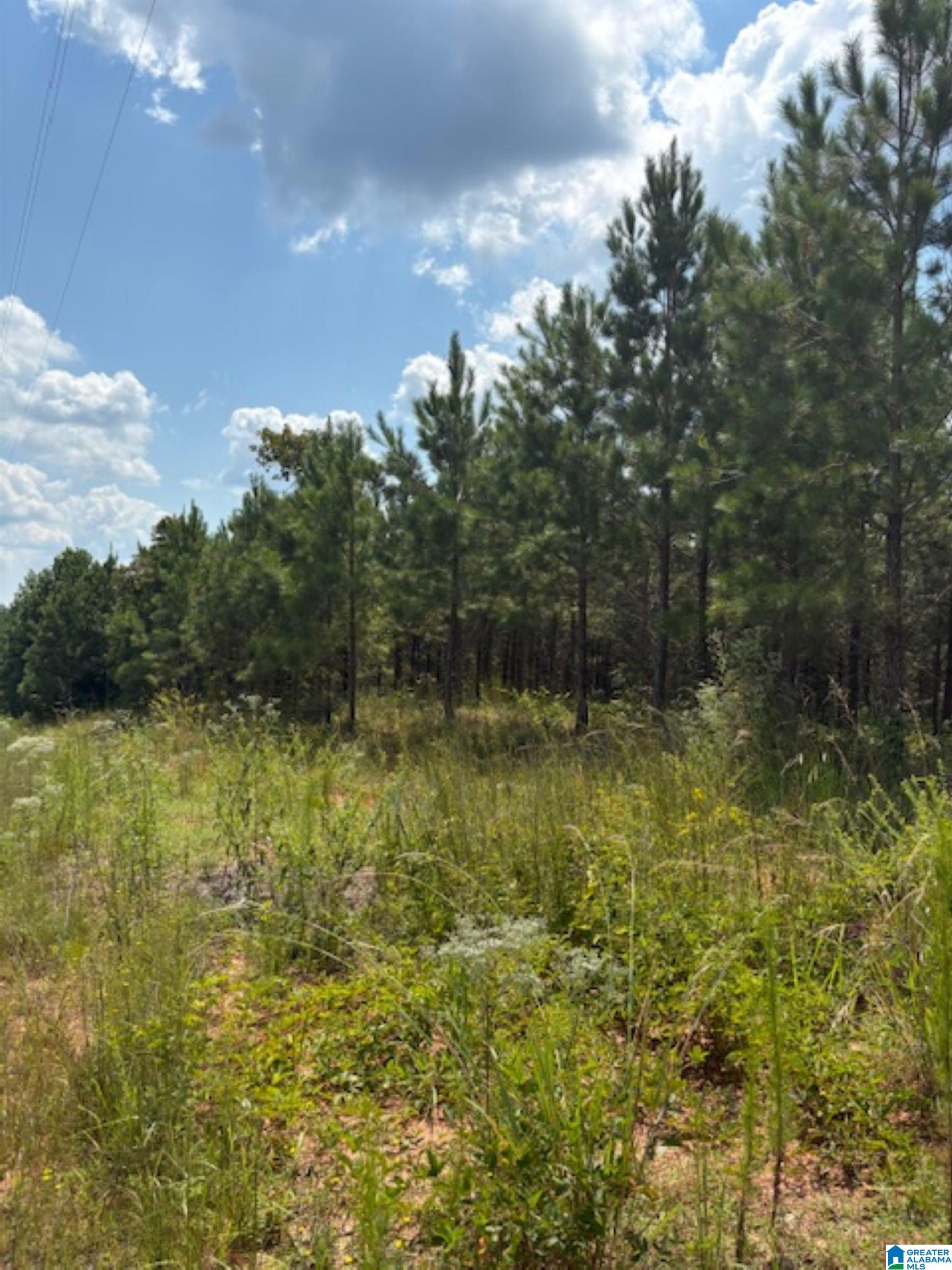 COUNTY ROAD 472 2 - Photo 2