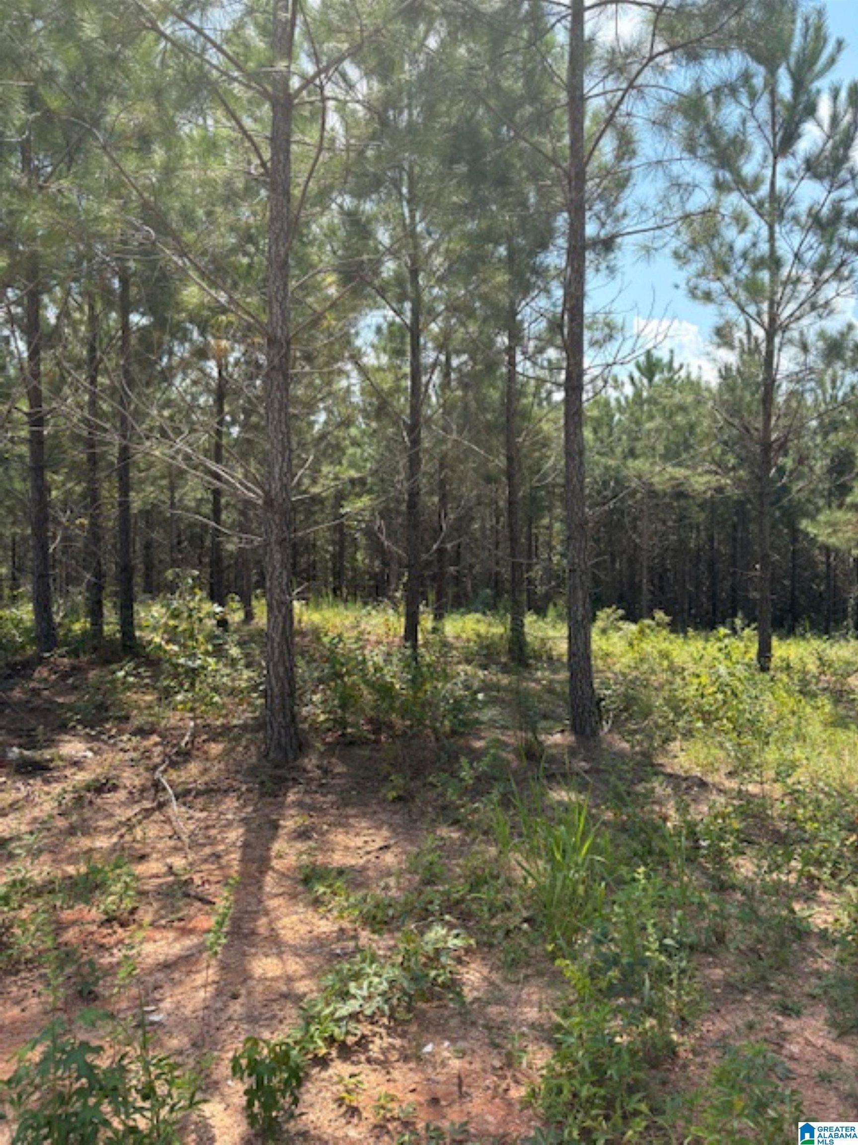 COUNTY ROAD 472 2 - Photo 4