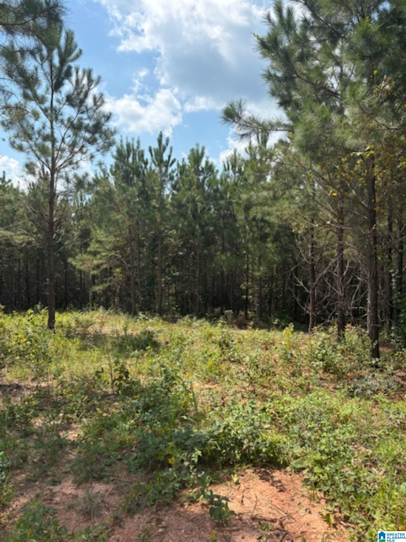COUNTY ROAD 472 2 - Photo 3