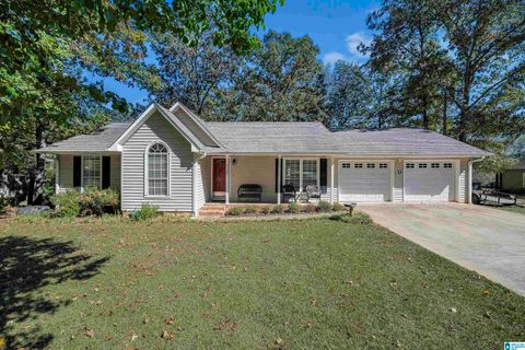 113 JANIE STREET SUMITON AL 35148