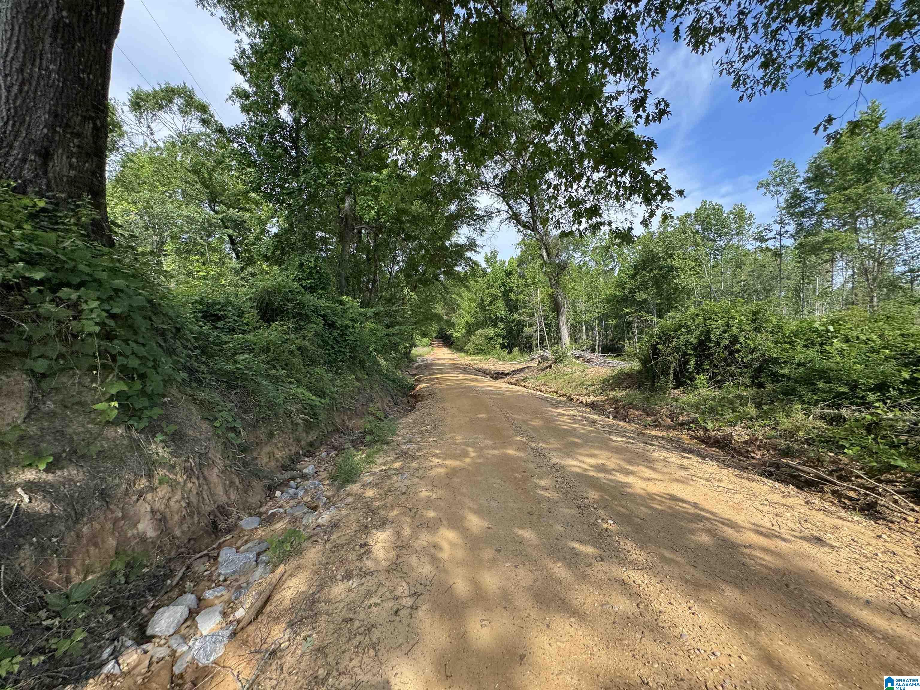 ACTIVE ROAD 5
