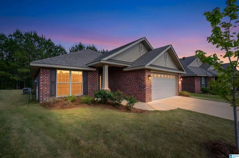 340 BLACK CREEK TRAIL ODENVILLE AL 35120