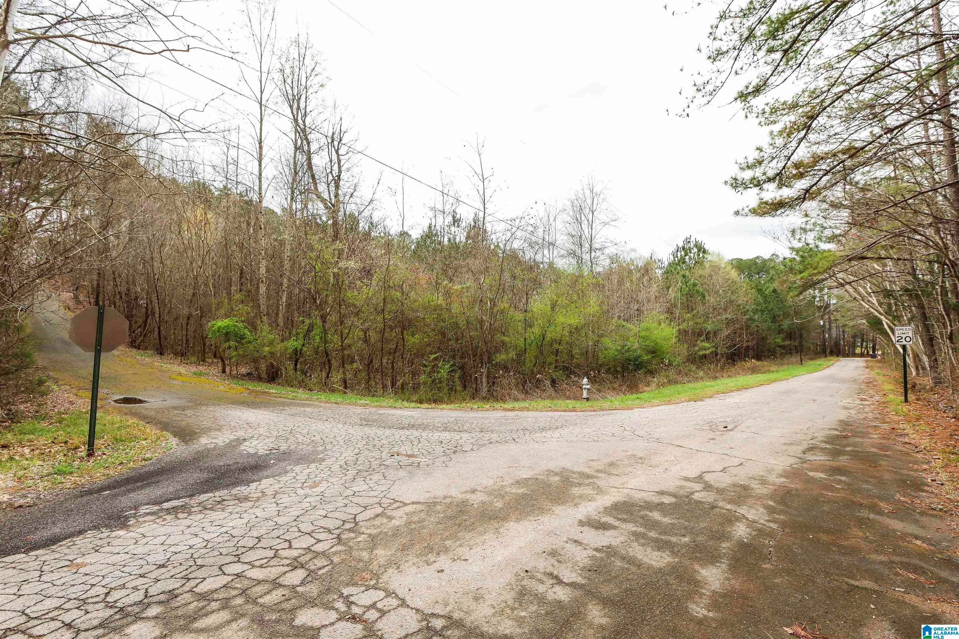0 WOODLAND COURT 3.5 ac.