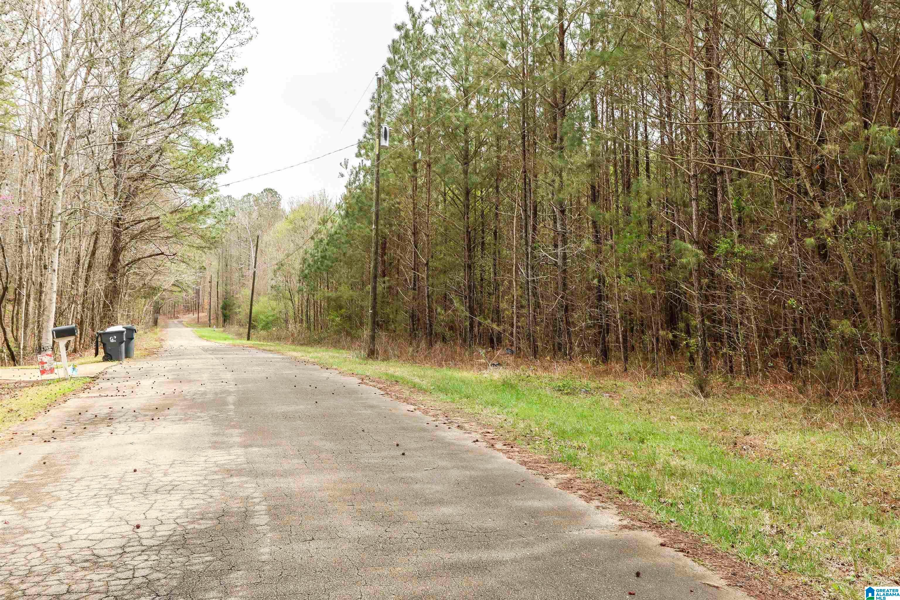 0 WOODLAND COURT 3.5 ac.