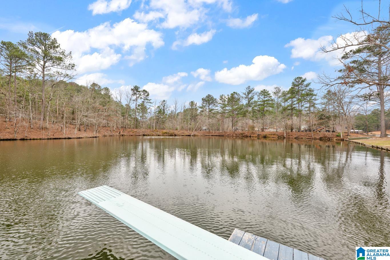 3263 COUNTY ROAD 199