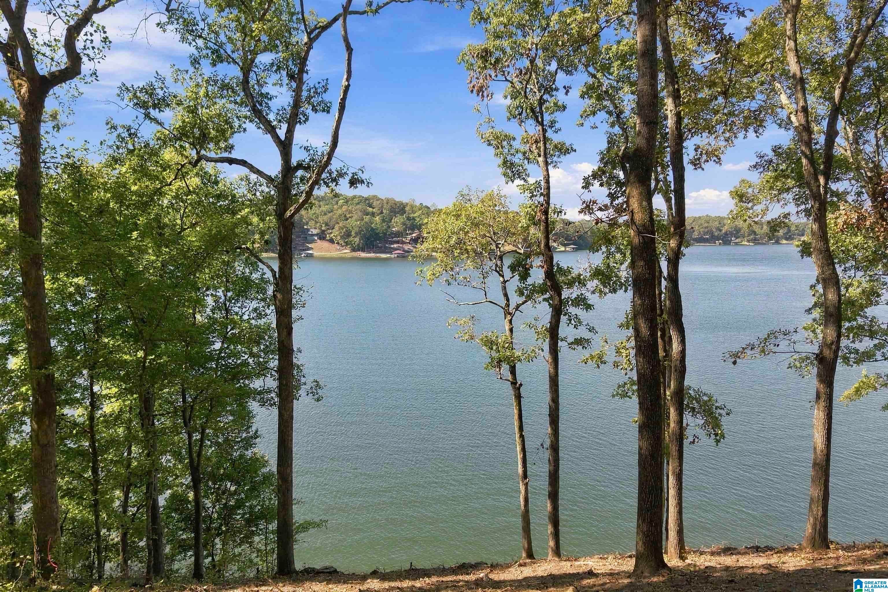 1205 LAKE RIDGE LANE 10