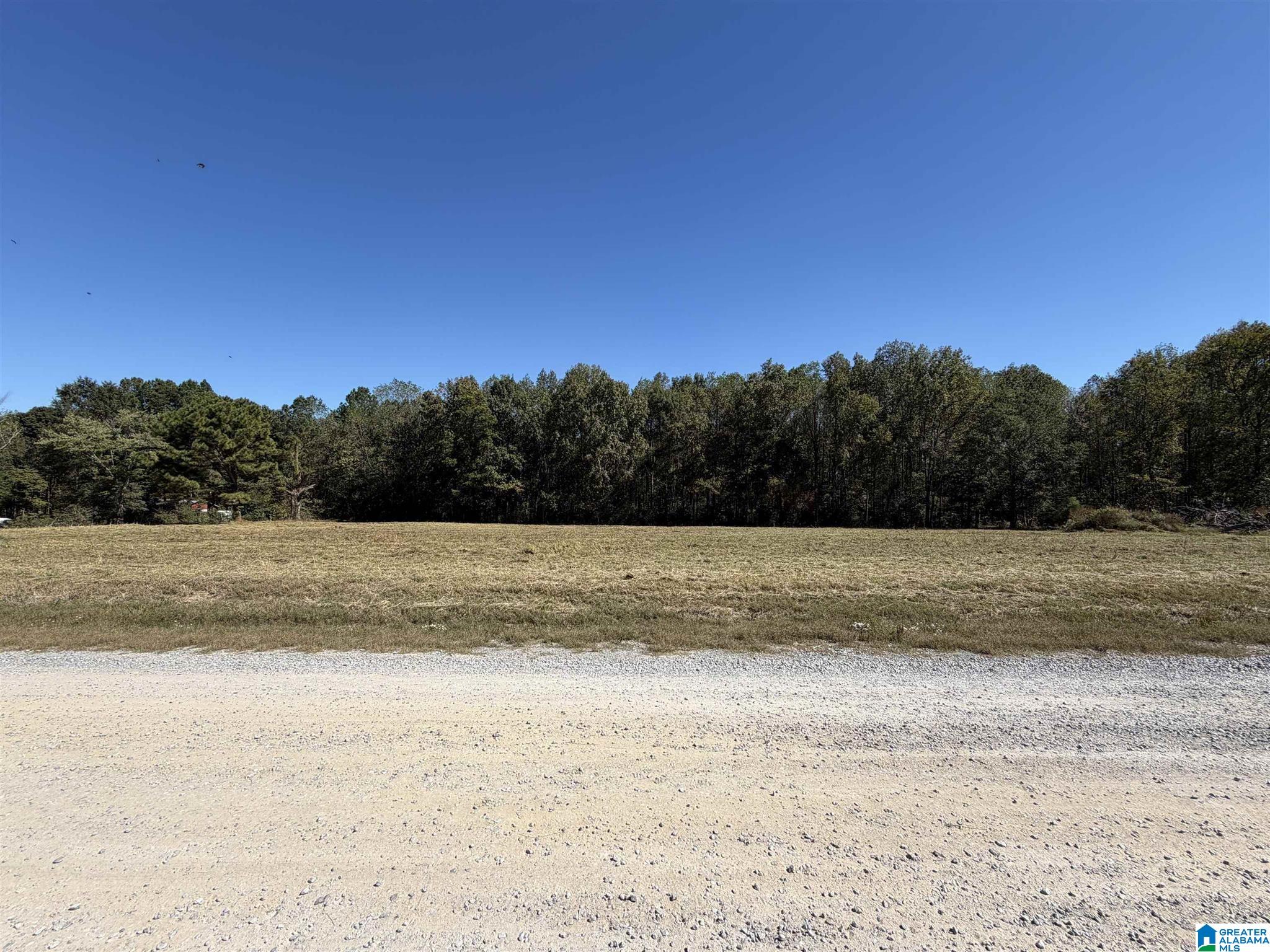 775 COUNTY ROAD 1498 tract 3