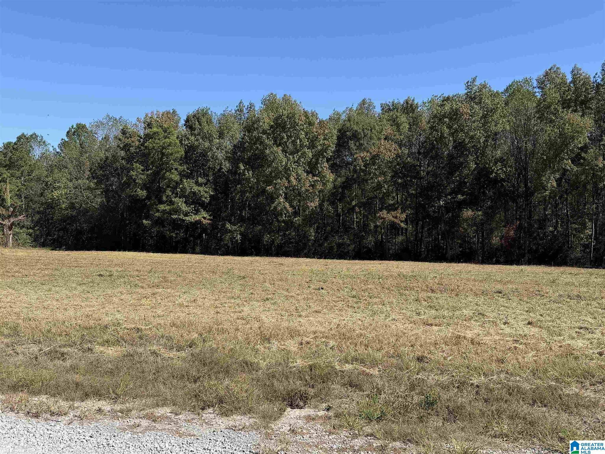775 COUNTY ROAD 1498 tract 3