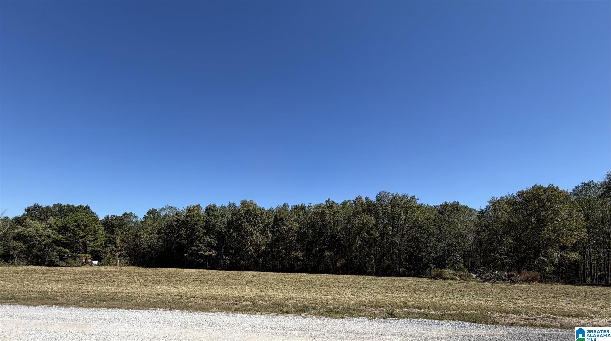 775 COUNTY ROAD 1498 tract 3